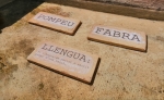 2019 Pompeu Fabra, l'esquelet de la llengua