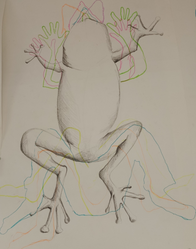 Qui s'assembla a qui? Bosc de la Pabordia. Girona