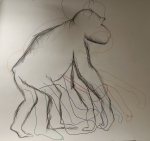 Qui s'assembla a qui? Bosc de la Pabordia. Girona