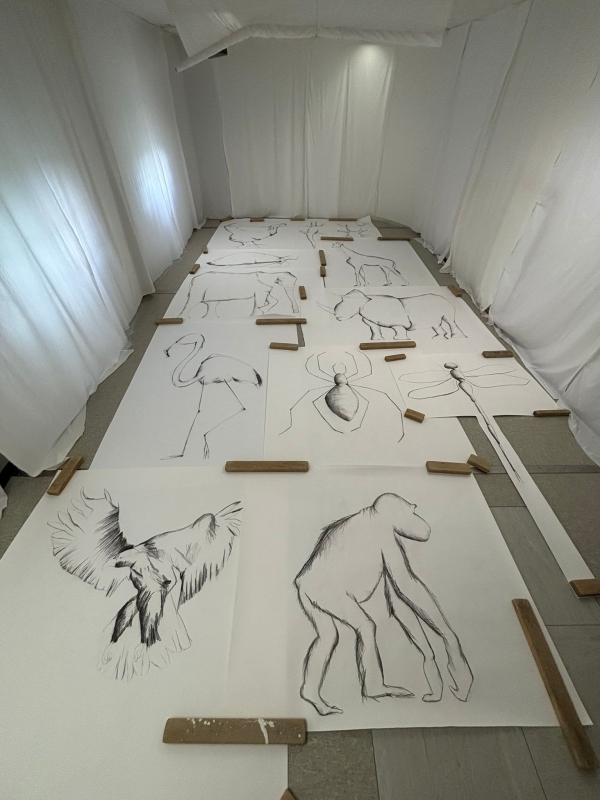 Qui s'assembla a qui? Bosc de la Pabordia. Girona