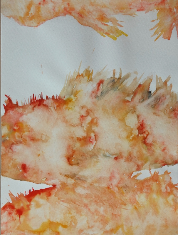 Rascassa_Rosa Aguiló_DSC05685_edit 3.JPG