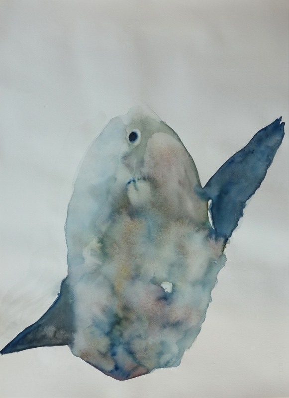 Bot_Museu de la Pesca 2026