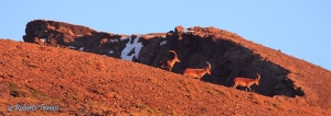 Picacho del Veleta (3.394 m)