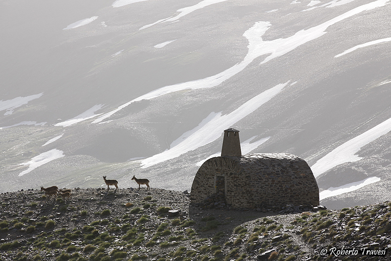 Refugio del Caballo