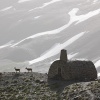 Refugio del Caballo