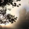 Contraluz en la niebla