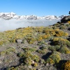 Primavera en las cumbres