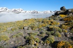 Primavera en las cumbres