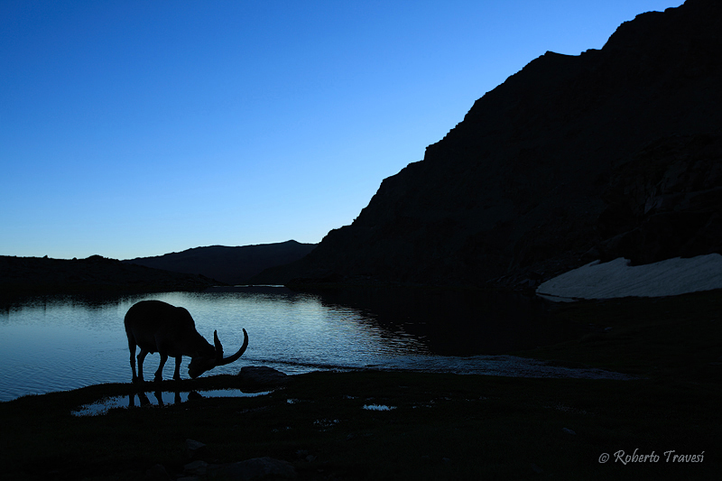 Amanecer en las cumbres