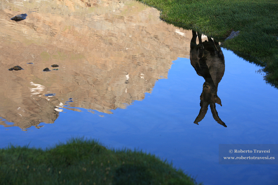 Reflejos de altura