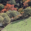 Otoño