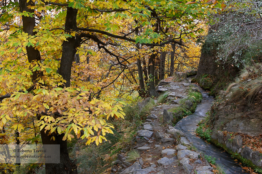 Acequia en La Alpujarra