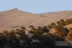 El Caballo desde Las Albuñuelas