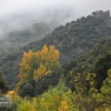 Otoño en el río Alhama