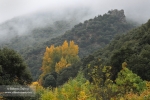 Otoño en el río Alhama