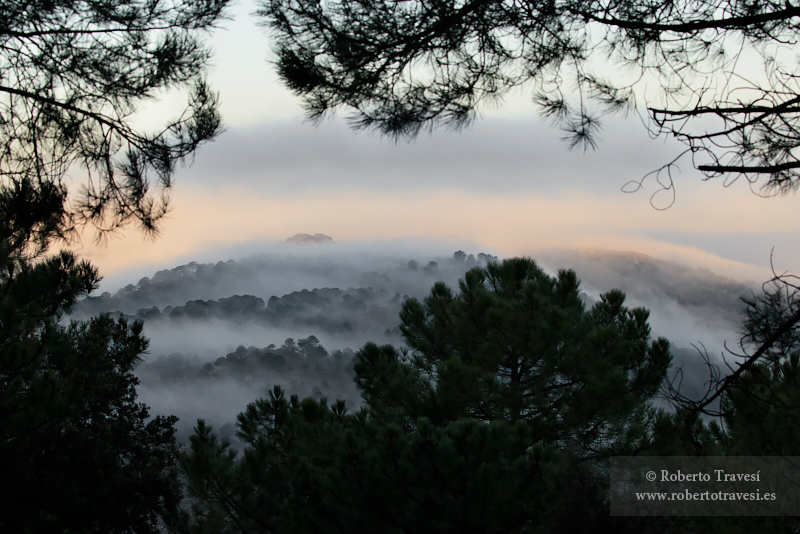 Amanecer en el Manar