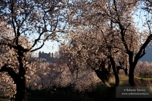 Castillo de La Calahorra (III)