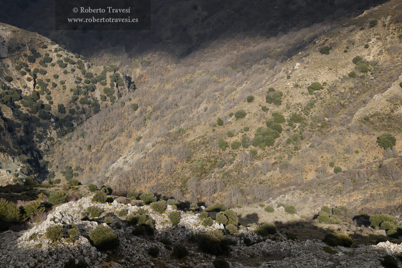 Valle del río Dílar