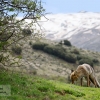 De campeo por el Dúrcal