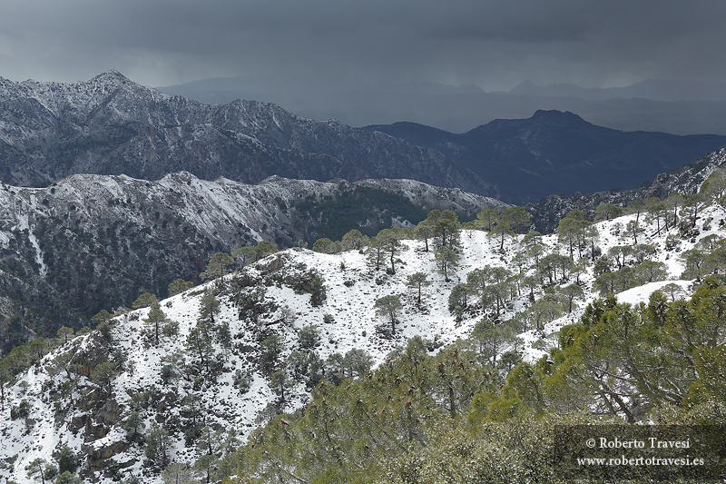 Invierno en la Baja Montaña