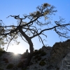Resiliencia en la Baja Montaña