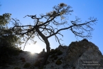 Resiliencia en la Baja Montaña