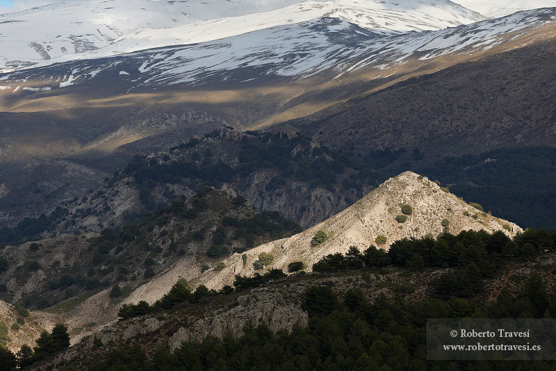 Baja Montaña nevadense