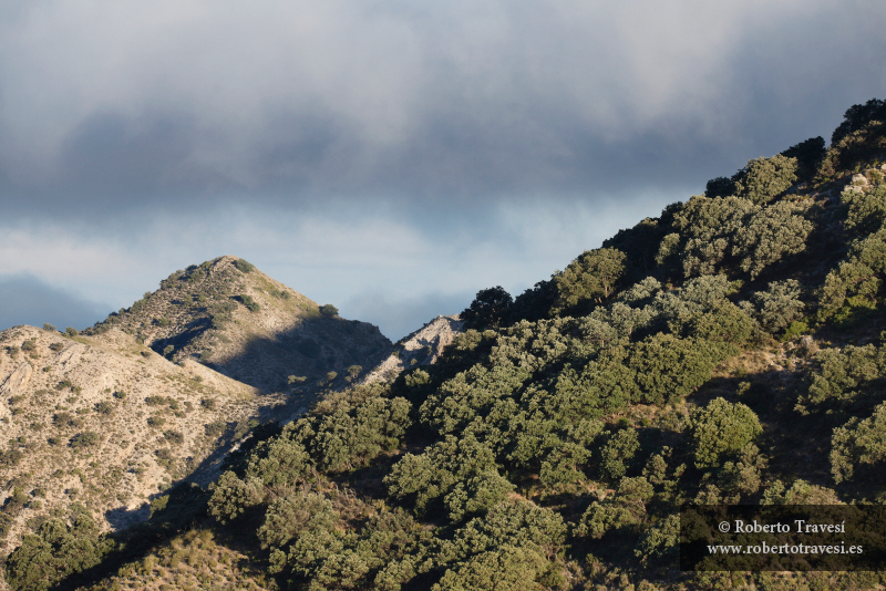 La Baja Montaña