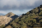 La Baja Montaña