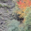 Días de otoño