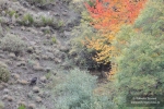 Días de otoño