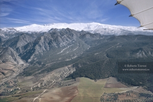 A vista de pájaro