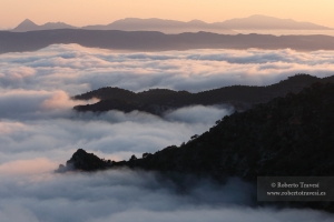 Mar de nubes al atardecer