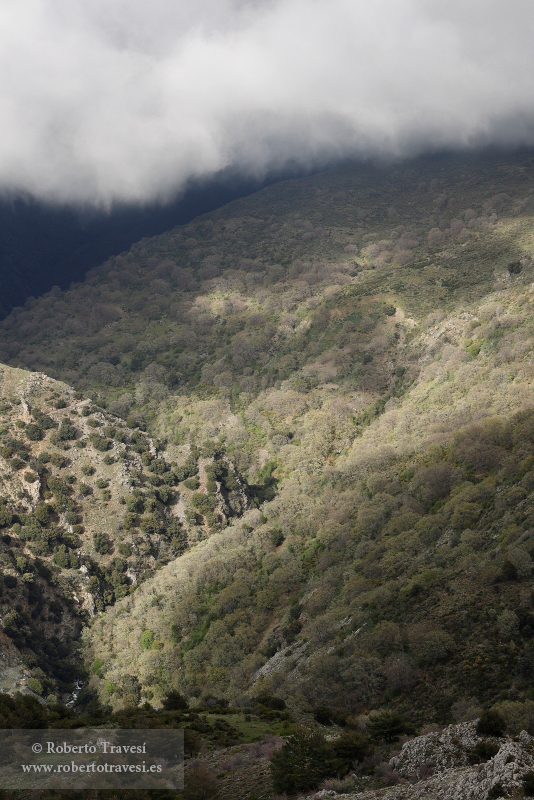 Valle del río Dílar (II)