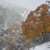 Nieves otoñales