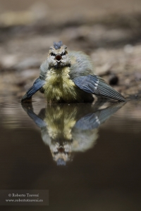 Uffff, ¡que gozada!