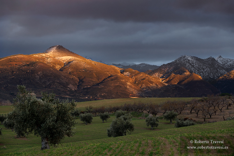 Tras la nevada