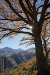 Otoño en la Sierra
