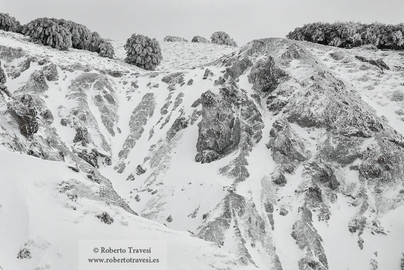 Texturas de invierno