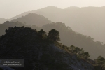 La Baja Montaña (III)