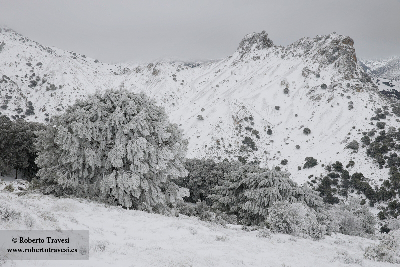Nieve en Los Castillejos