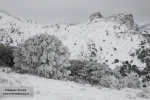 Nieve en Los Castillejos