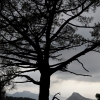 Contraluz en la Baja Montaña (II)