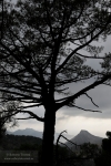 Contraluz en la Baja Montaña (II)